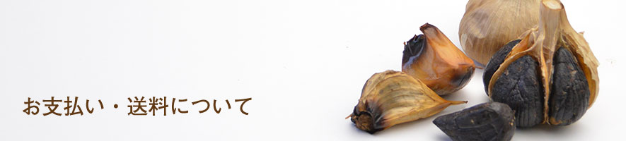 お支払い・送料について